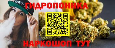 эйфоретик Малгобек