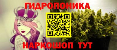 эйфоретик Малгобек