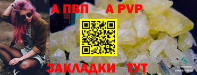 эйфоретик Малгобек