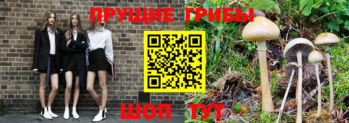 Галлюциногенные грибы ЛСД  Вход с VPN  Всеволожск  купить наркотик  Галлюциногенные грибы мицелий 